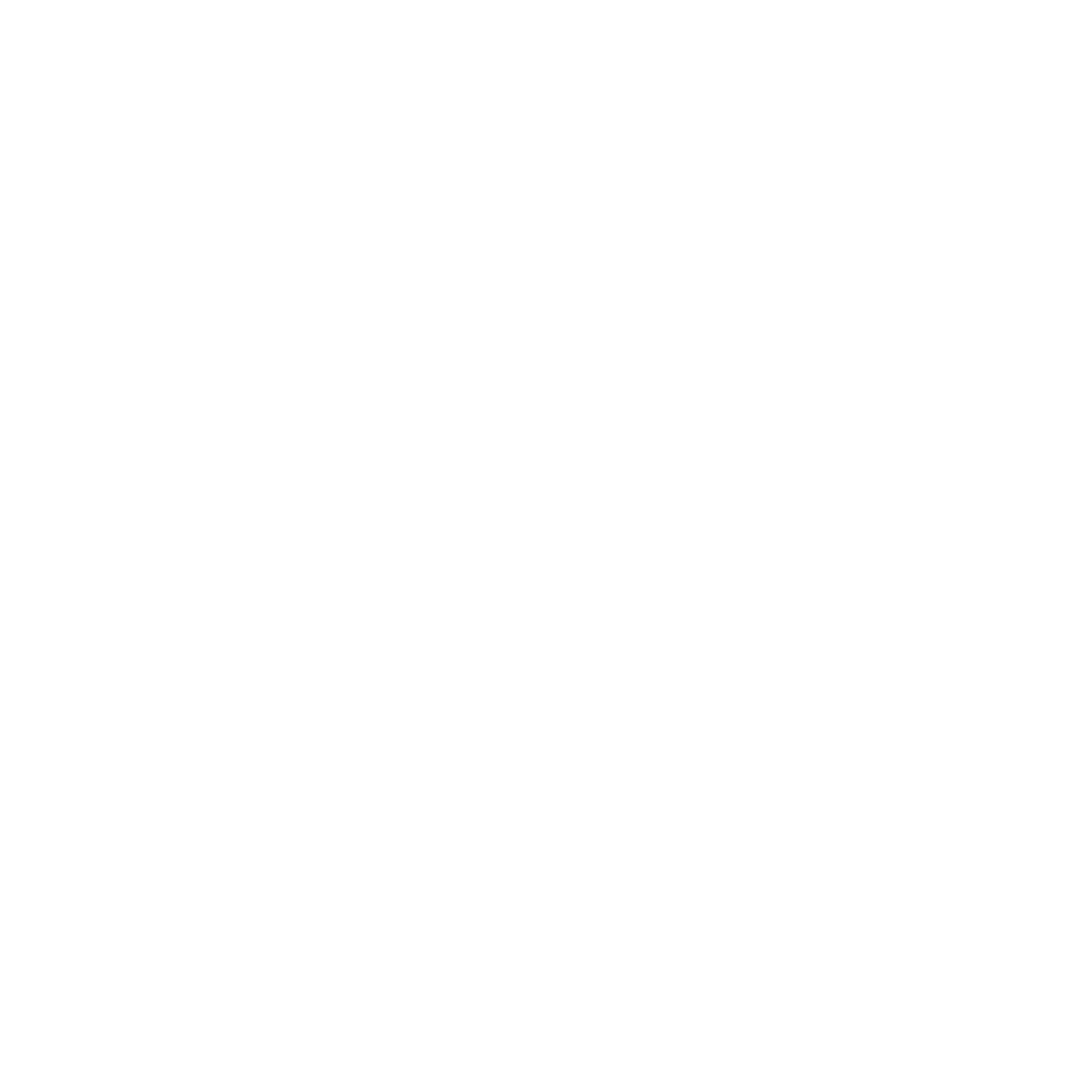 BalloonMan logo in white on transparent background