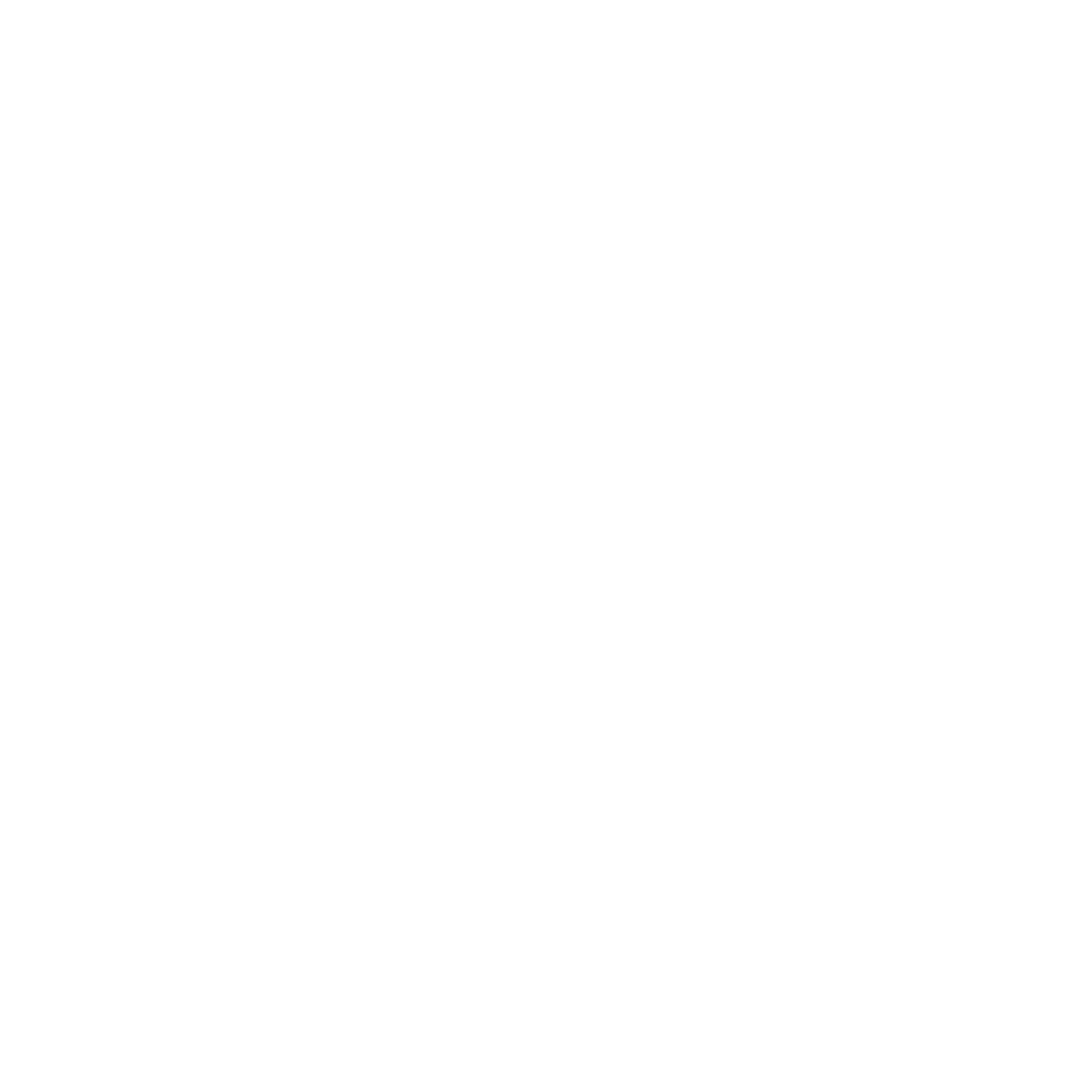 Video Igniter logo on a transparent backdrop.