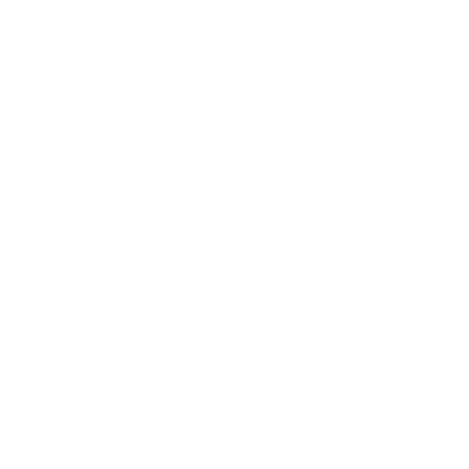 Essential Energy logo