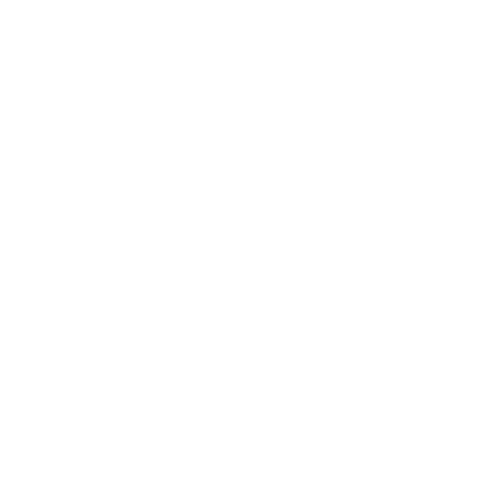 Video Igniter logo